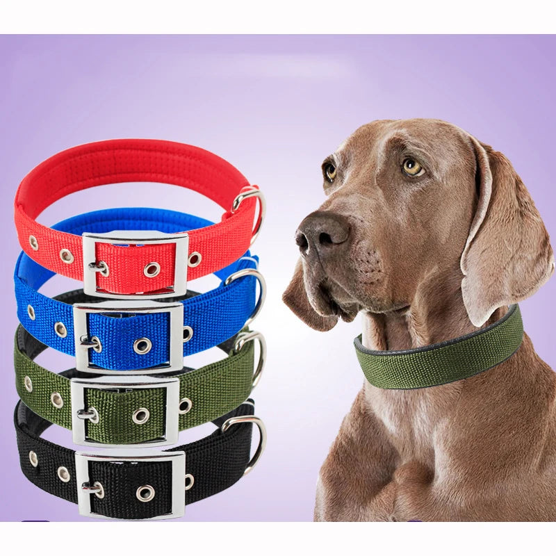 Nylon Dog Collar (Red)