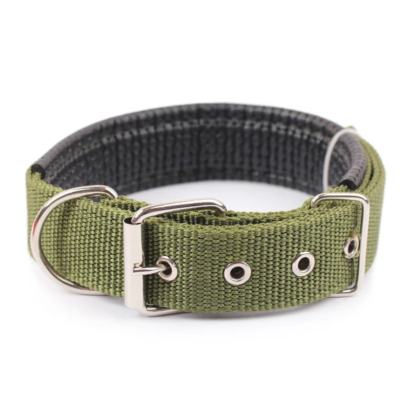 Nylon Dog Collar (Army Green)