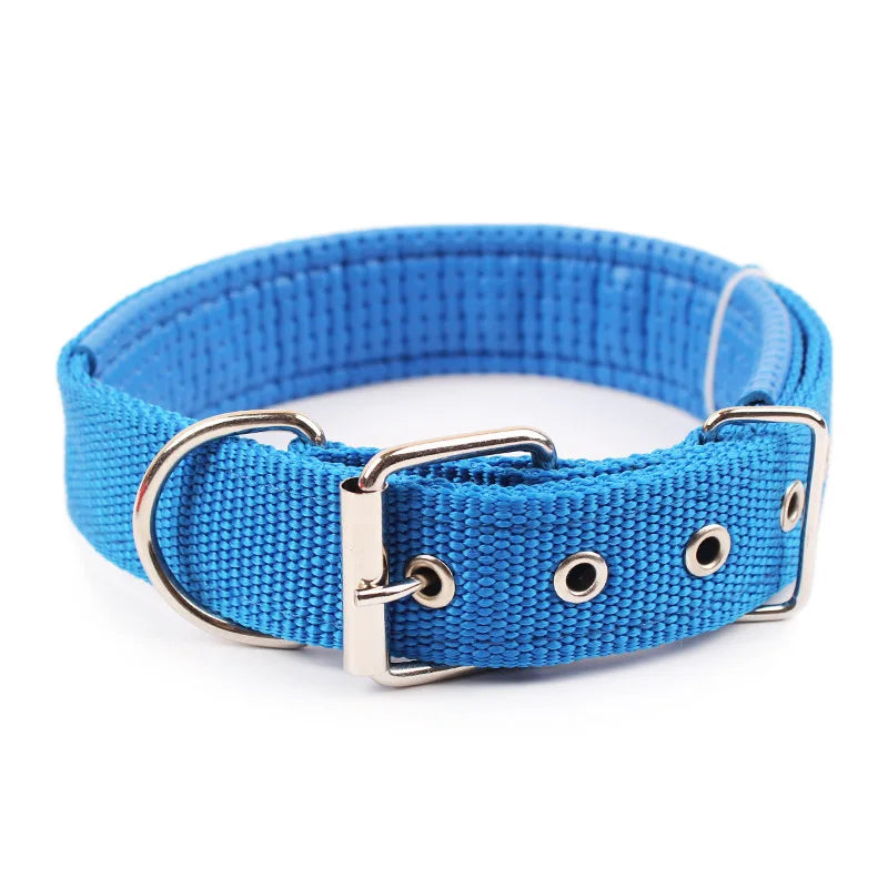 Nylon Dog Collar (Blue)