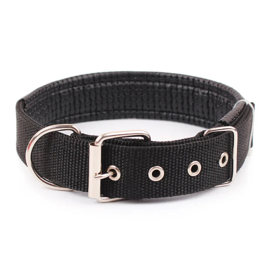 Nylon Dog Collar (Black)