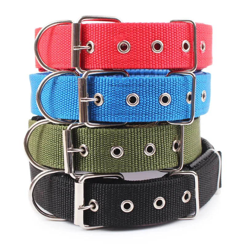 Nylon Dog Collar (Red)