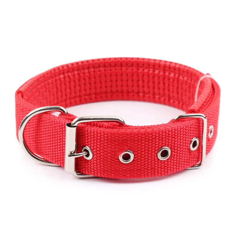 Nylon Dog Collar (Red)