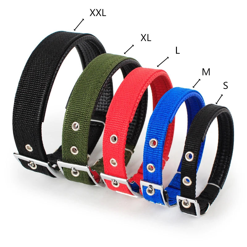 Nylon Dog Collar (Black)