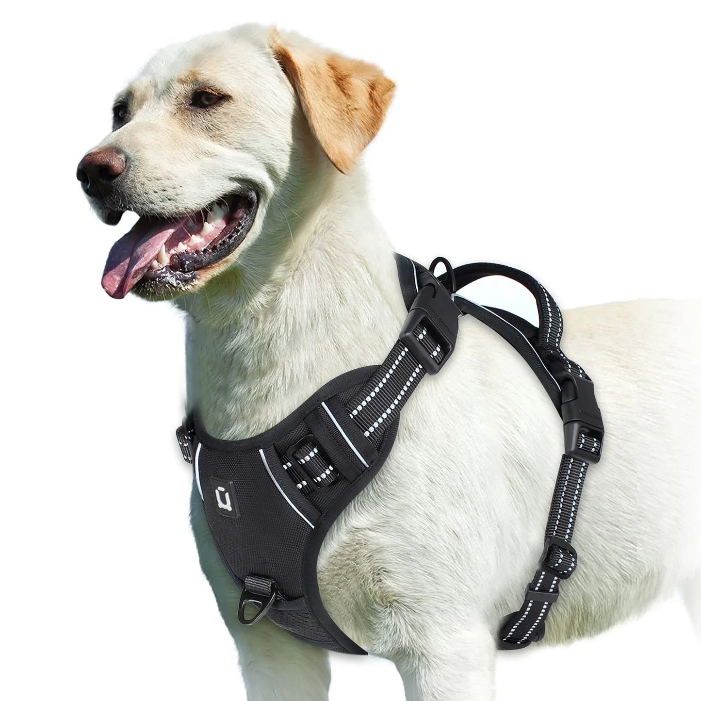 No Pull Dog Harness (Black)