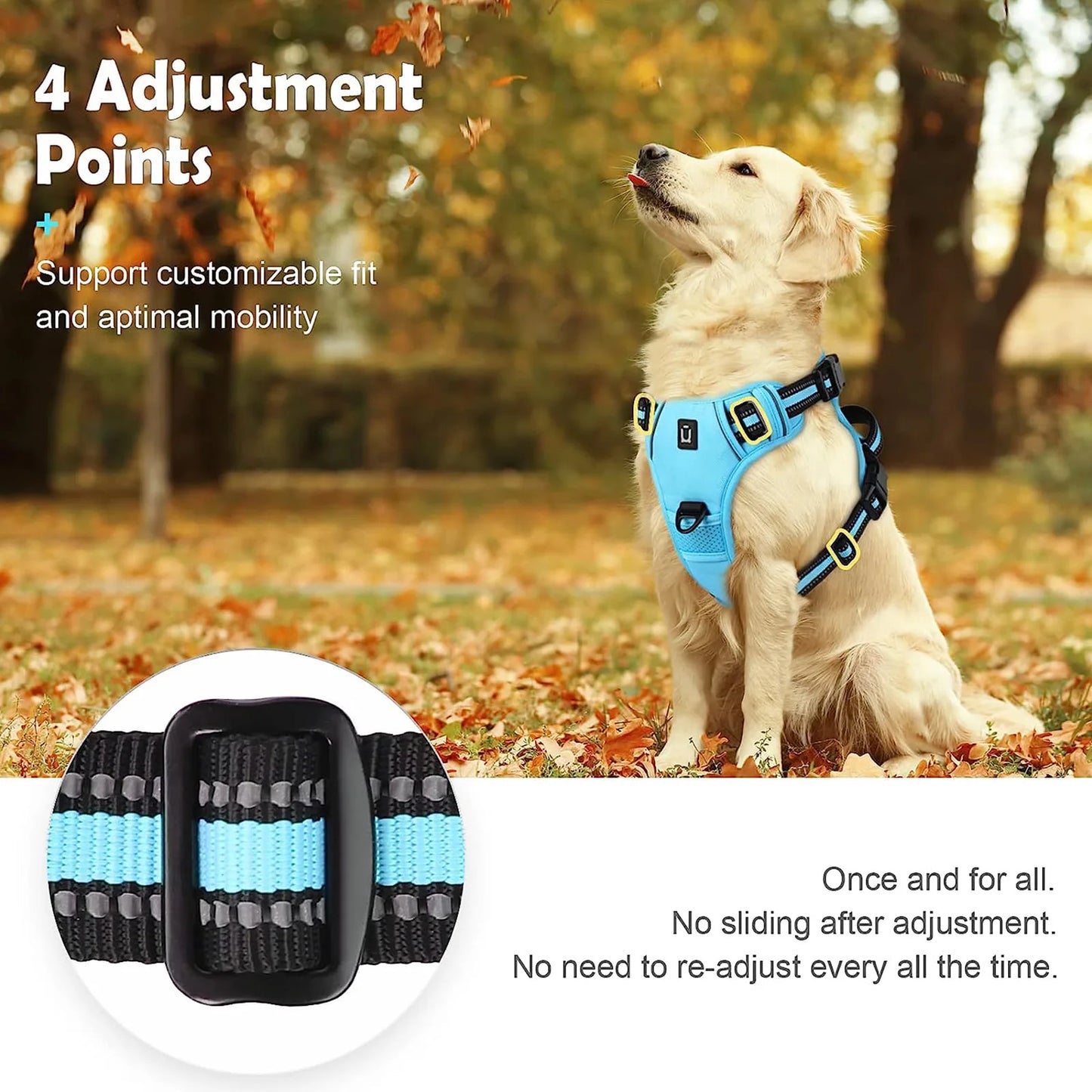 No Pull Dog Harness (Sky Blue)