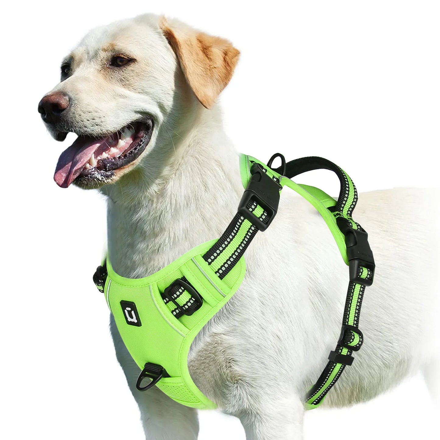 No Pull Dog Harness (Light Green)