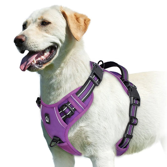 No Pull Dog Harness (Purple)