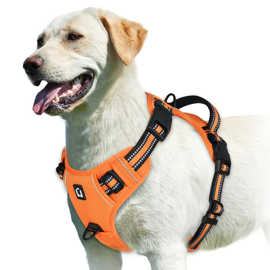 No Pull Dog Harness (Orange)