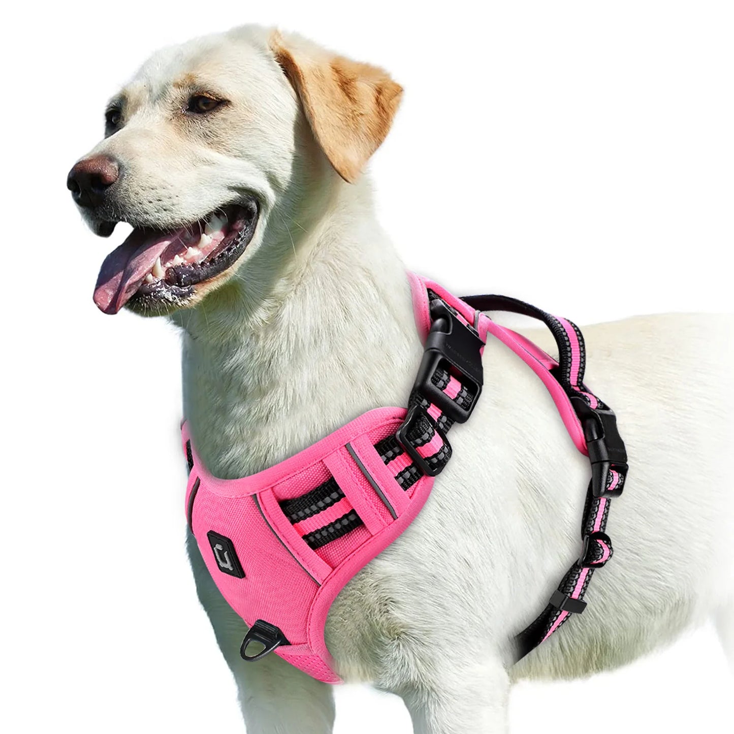 No Pull Dog Harness (Pink)