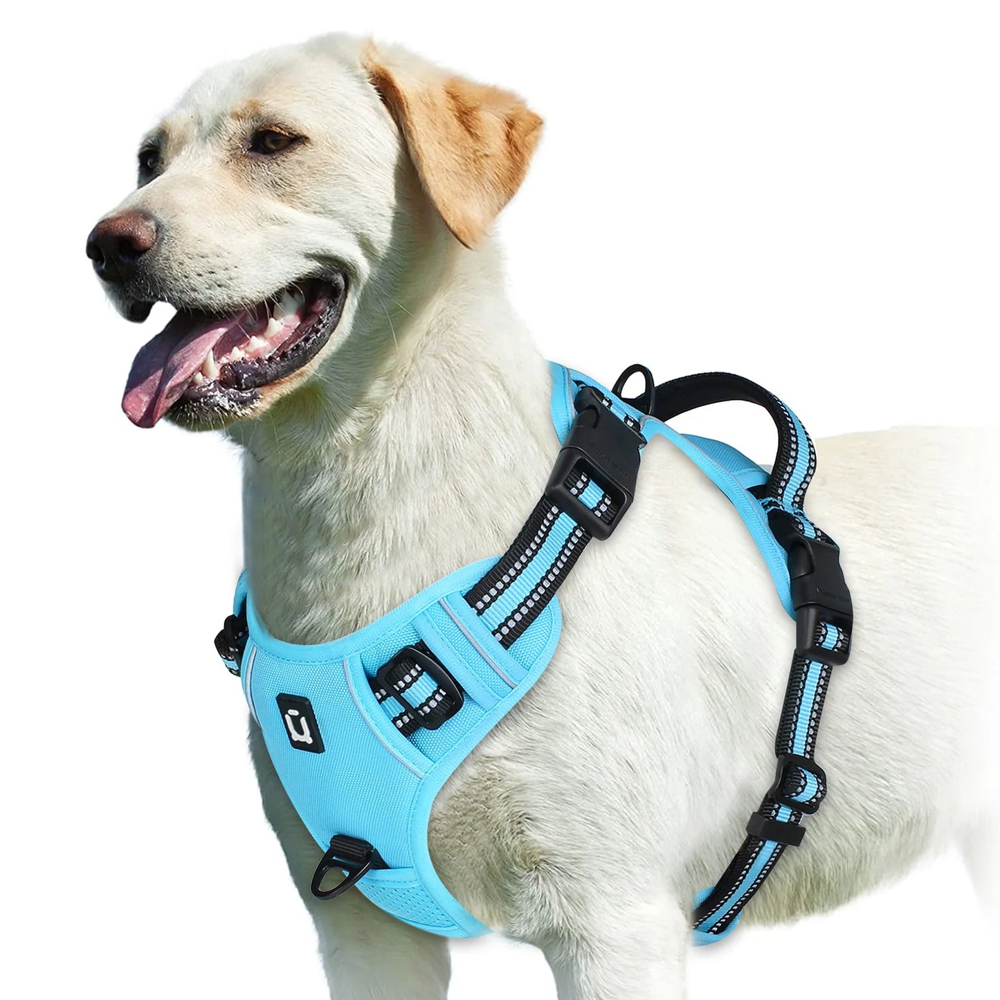 No Pull Dog Harness (Sky Blue)