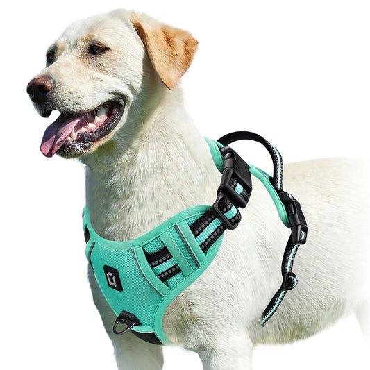 No Pull Dog Harness (Green)